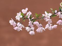 -北京市劳动人民文化宫(太庙)