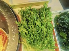 -川西坝子(老军营店)