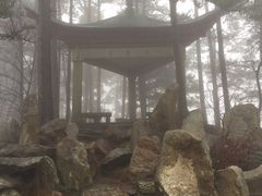 -庐山风景区花径公园