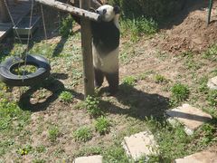 -大连森林动物园