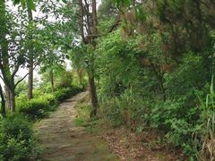 -清泉馆(望江路店)