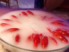-红盔甲·小龙虾(车公庙店)