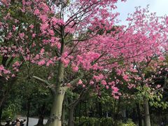 -南国桃园旅游度假区