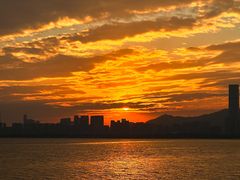 -深圳湾公园(南山区)