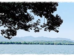-浙江西子宾馆·牡丹厅