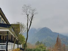 -四川省成都市彭州市白鹿镇
