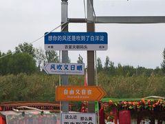 -白洋淀景区
