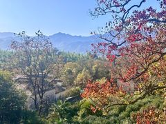 -塔川景区