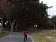 -华侨公园