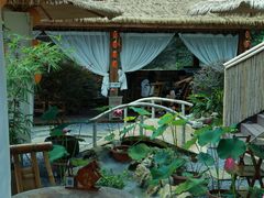 -伴山茶苑·一盏冰茶·半日山居