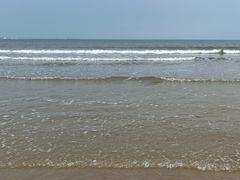 -日照海滨国家森林公园