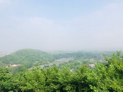 -上海佘山国家森林公园西佘山园