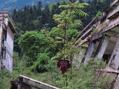 -四川汶川特大地震漩口中学遗址