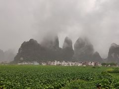 -钟山水墨田园