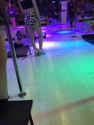 上海轩依钢管舞学校(长寿路总校)-轩依钢管舞