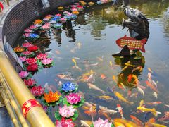 -上海东林寺(金山区)