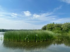 -溱湖国家湿地公园