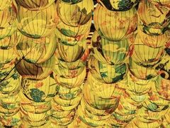 -武汉园博园(武汉自然博物馆)