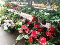 -沃尔玛购物广场(霖雨路店)