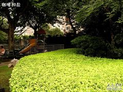 -华山儿童公园