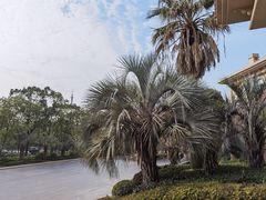 -棕榈滩海景高尔夫俱乐部