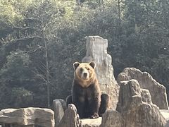-杭州野生动物世界