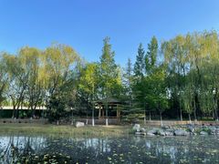 -东升八家郊野公园
