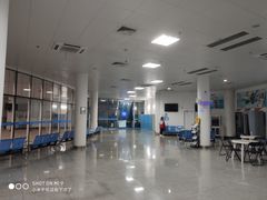 -广西体育中心-游泳馆