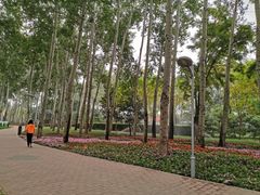 -仁和公园(顺义区)