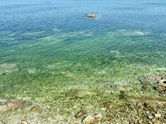 -养马岛旅游度假区