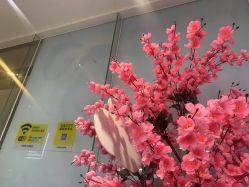 -馨美女性健康管理中心