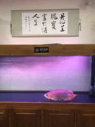 -灵彩珠宝(朗香街店)