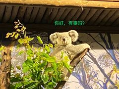 -广州长隆野生动物世界