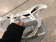 -厦门高崎国际机场-T3航站楼