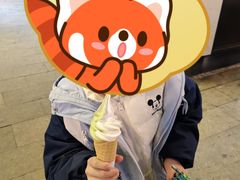 -麦丽丝红油辣椒冰淇淋(江家巷店)
