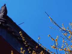 -钱王祠