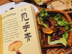 -滇野云南野生菌餐厅(陕西南路店)