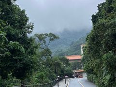 -深圳仙湖植物园