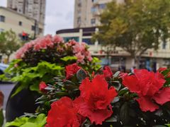 -老吉士酒家(天平路店)