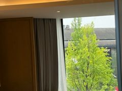 -杭州君悦酒店
