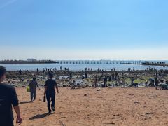 -青岛第二海水浴场