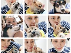 -逗柴咖啡屋·狗咖猫咖宠物桌游