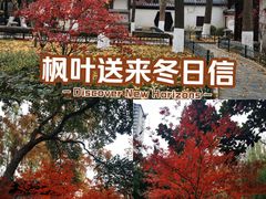 -郑和公园