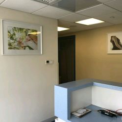 -杭州贝瑞斯美华妇儿医院·早孕·产检·儿科