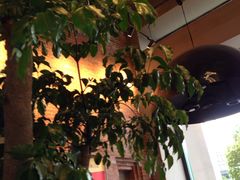 -迪欧咖啡·中西餐融合菜(平江万达旗舰店)