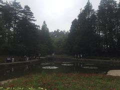 -庐山风景区花径公园