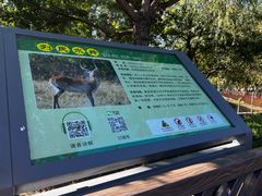 -石家庄市动物园