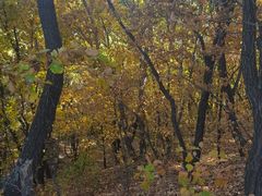 -帽儿山国家森林公园