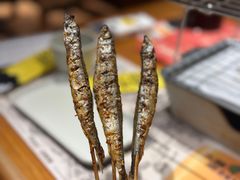 -木屋烧烤(南新店)