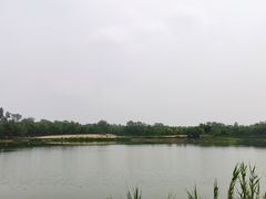 -东郊湿地公园